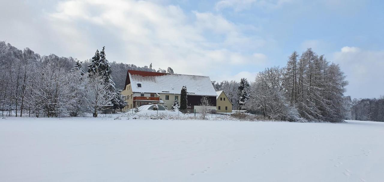 Ferienwohnung Raabsteine Bad Gottleuba Exterior foto